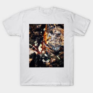 Rock Pool T-Shirt